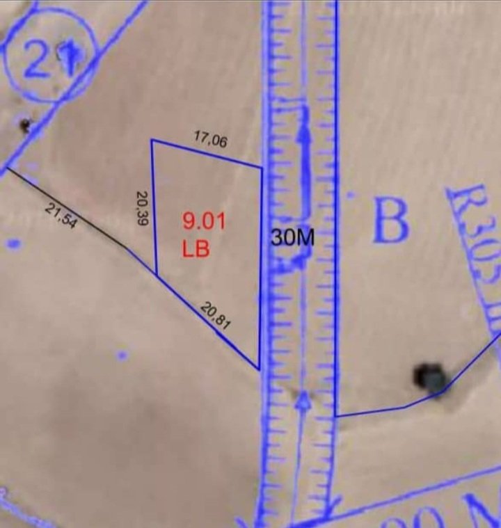 ارض صنعاء العشاش ريد